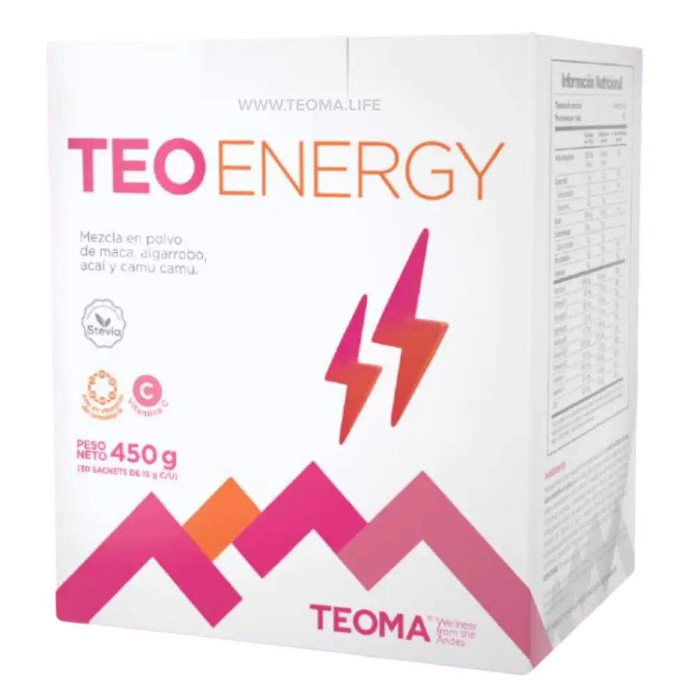Ciencia Teo Energy