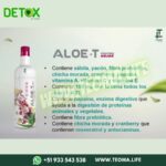 ALOE-T FRUTOS ROJOS