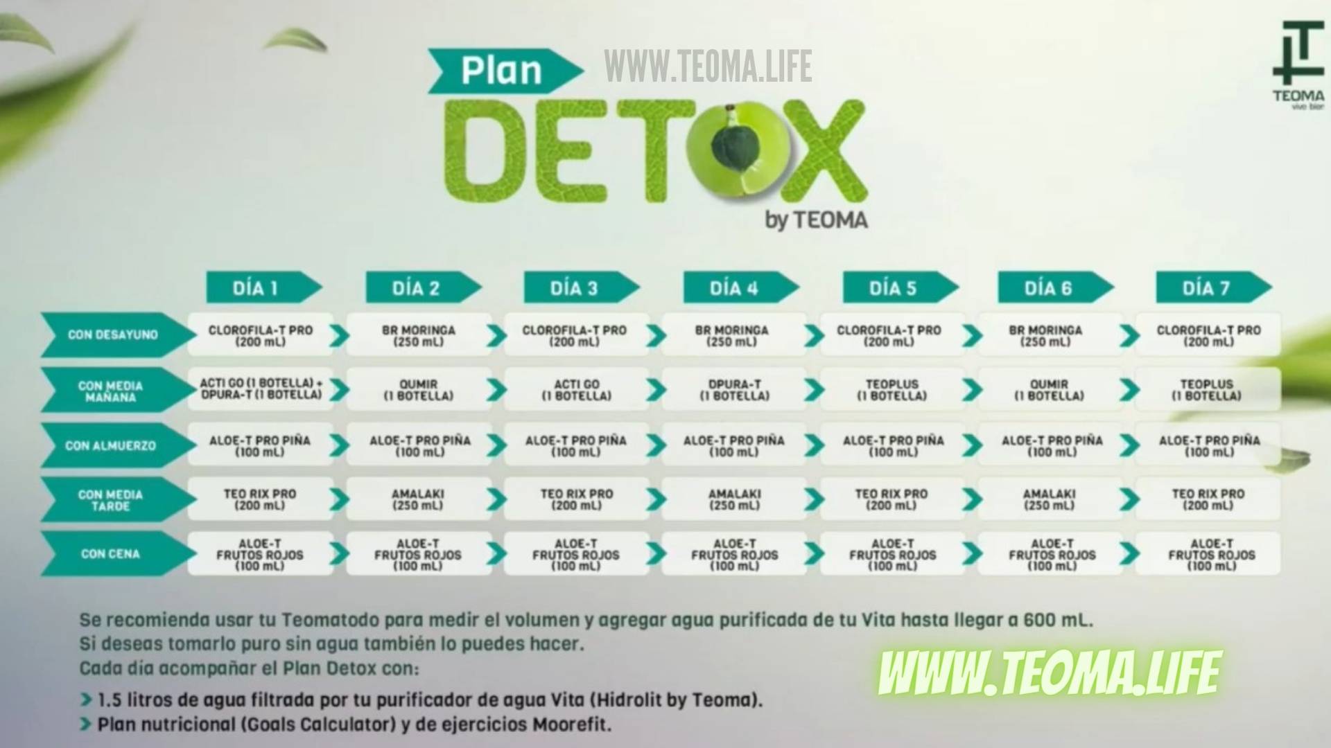PACK DETOX CRONOGRAMA